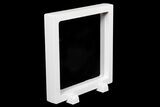 5.5" (Large+) Floating Frame Display Cases With Stands - White - Photo 4